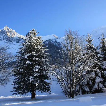 Chalet Le Paradis 아파트 *